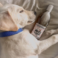 Thumbnail for best natural flea shampoo for dogs