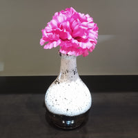Thumbnail for Ceramic Black and White Vase - Set of 2