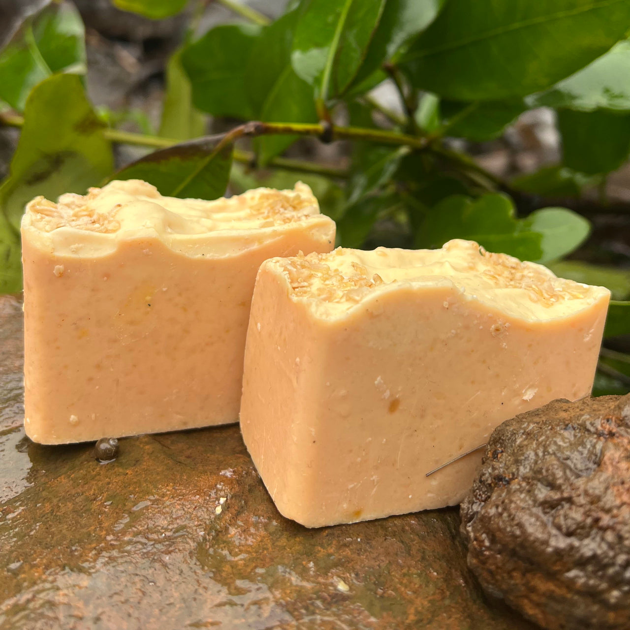 cedar oil soap with Oatmeal