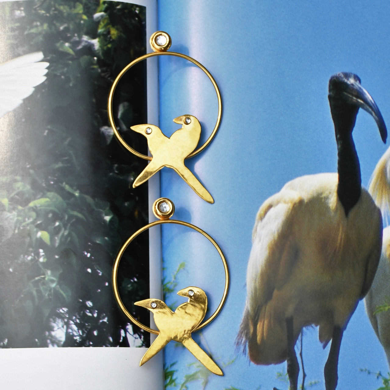 gold plated bird design earring